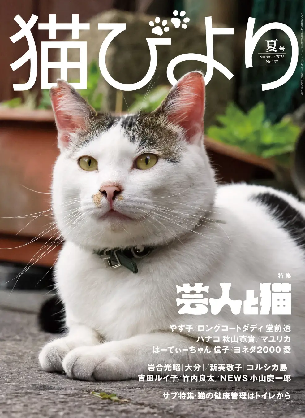 『猫びより』2025年夏号